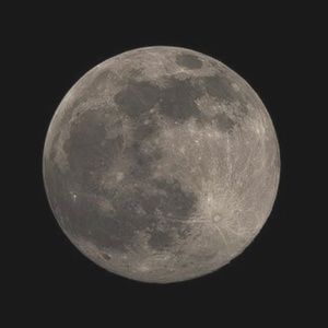 Meet your Posher, Summer